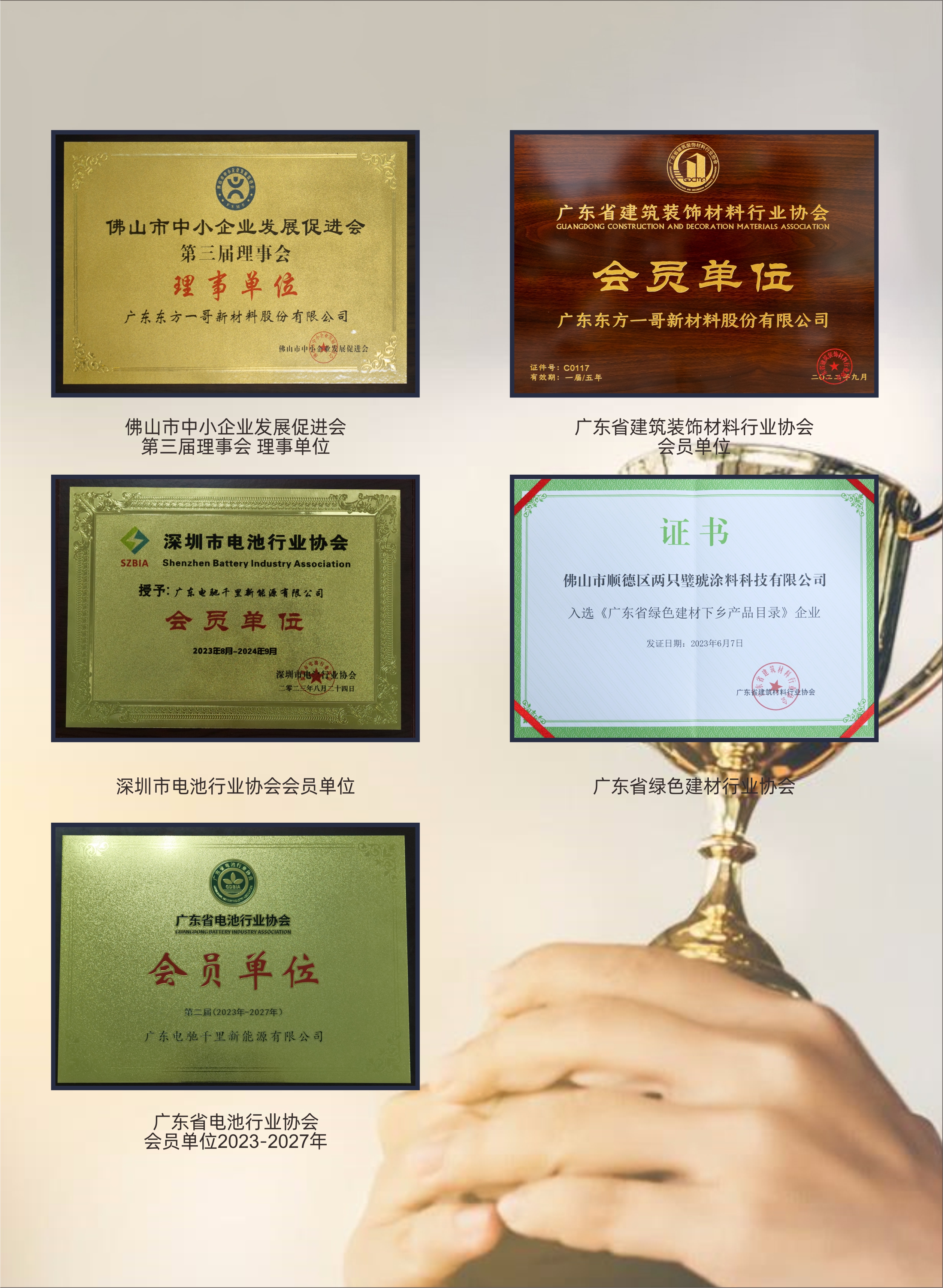 协会荣誉（3）