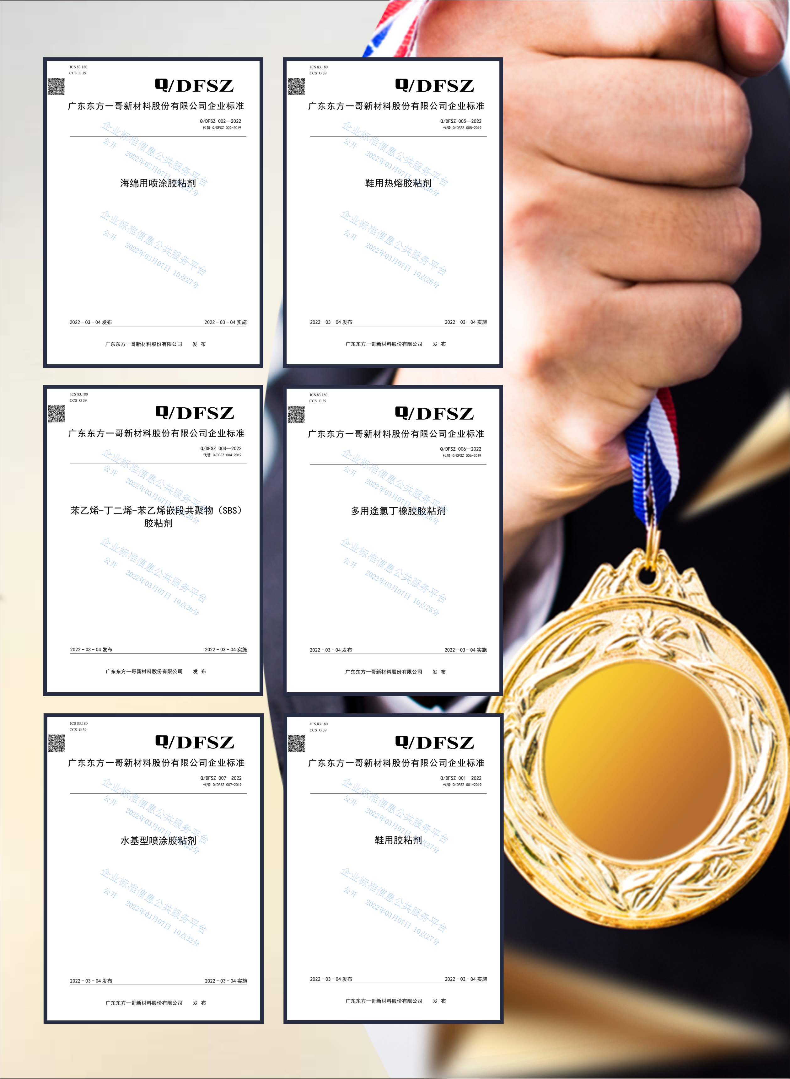 六项企业标准