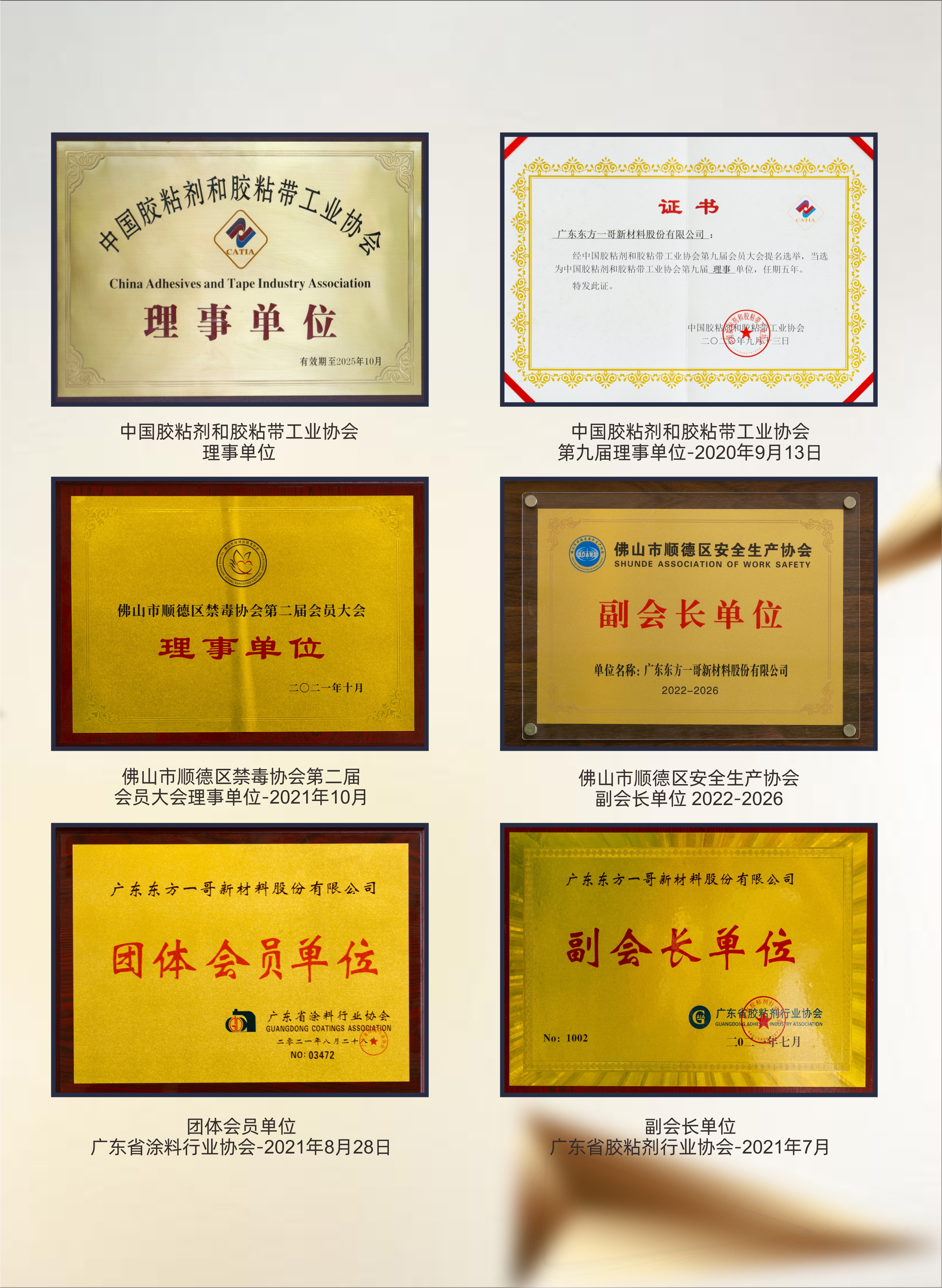 协会荣誉（1）
